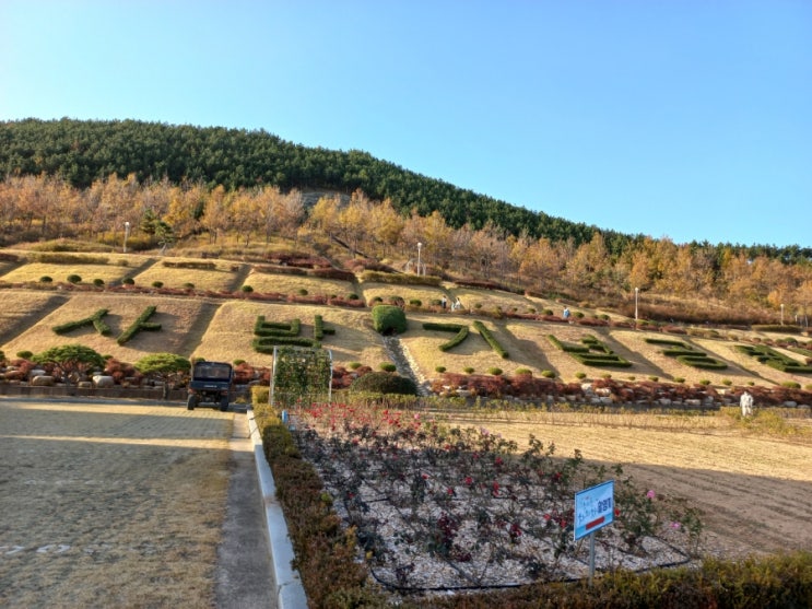  갯마을 차차차 촬영지 중 언덕 위의 배가 있는 포항 사방기념공원 다녀온 이야기