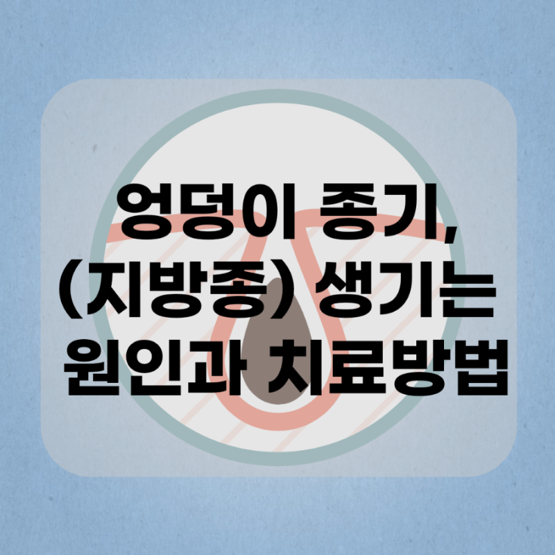 엉덩이 종기,지방종 생기는 원인과 예방,치료방법