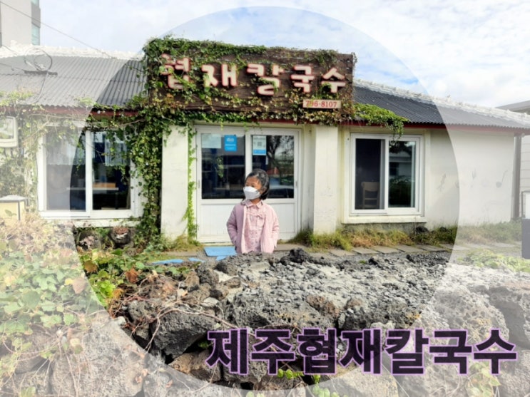  제주협재칼국수 찐리뷰(제주보말칼국수 , 해물칼국수)