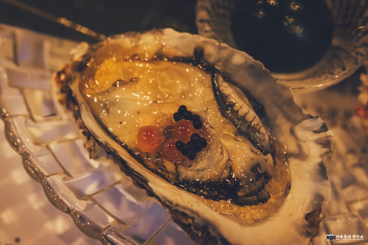  강남 일식 맛집 개포동 오마카세 요우