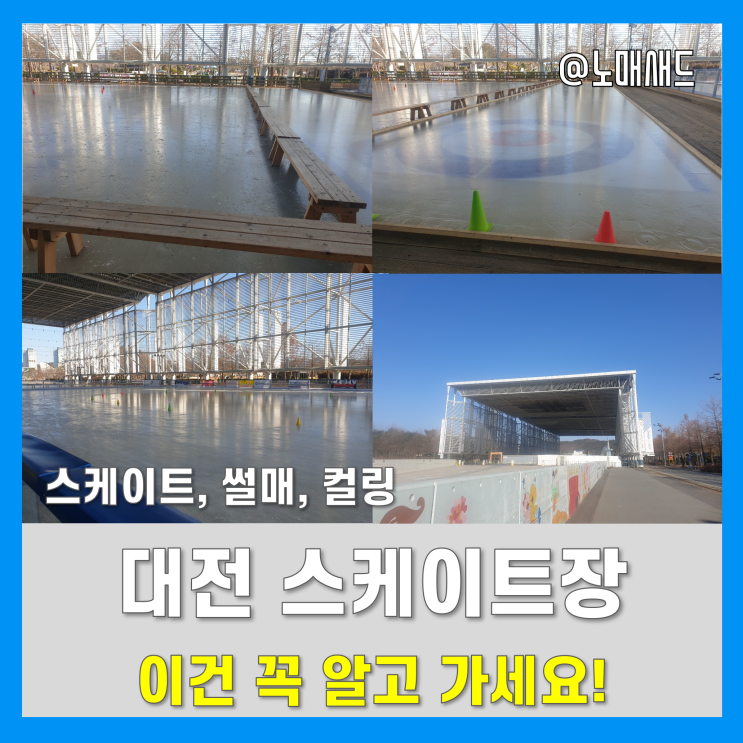 대전 스케이트장 눈썰매장 한밭수목원 엑스포시민광장에!? 아이와 가볼만한 곳!