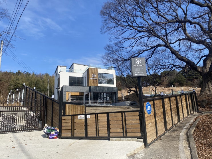  [내돈내산]대전 여행가서 꾸꾸와 함께 그루그루를 방문했어요
