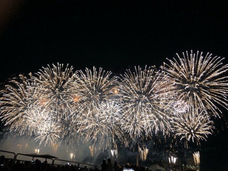  이웃님들 2022년 인사드려요!!