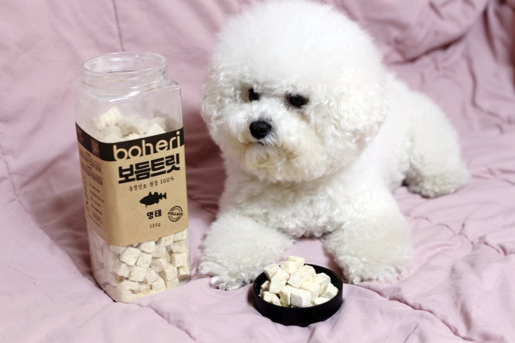  강아지간식 보헤리 보듬트릿으로 준비해요 (칭찬용트릿)