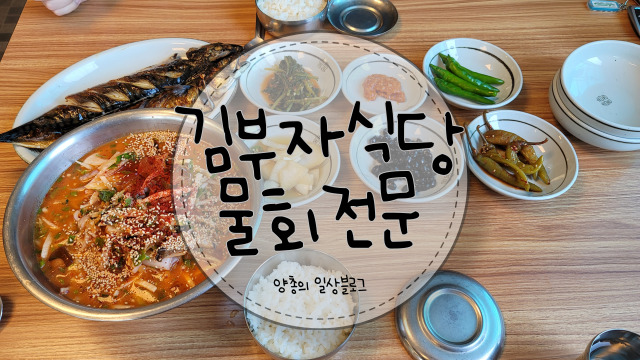  내돈내산) 이색 물회 서귀포 도민 맛집인 김부자 식당