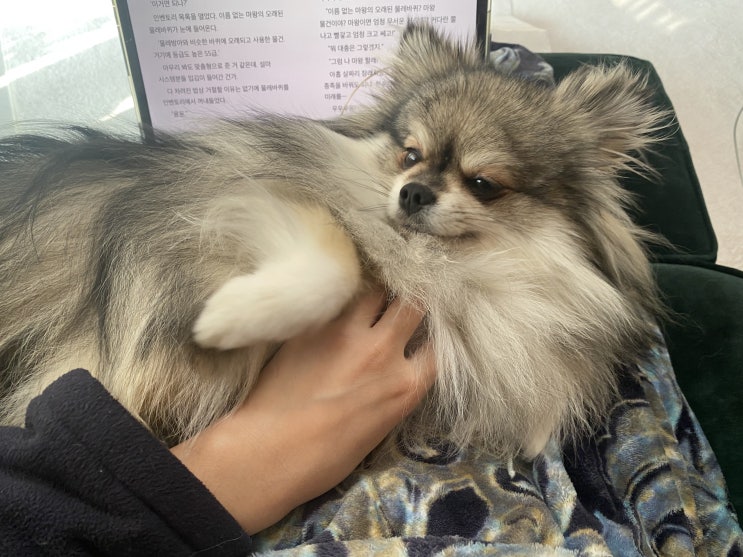 엄마와 하루종일 꾸꾸의 일상