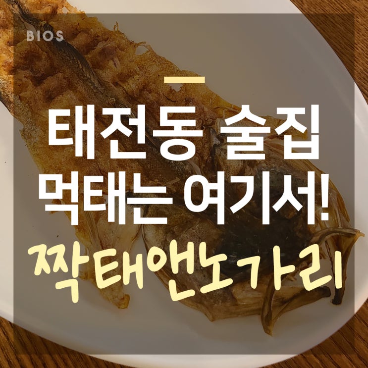  경기 광주 태전동 술집 짝태앤 노가리 맥주 안주로 딱!
