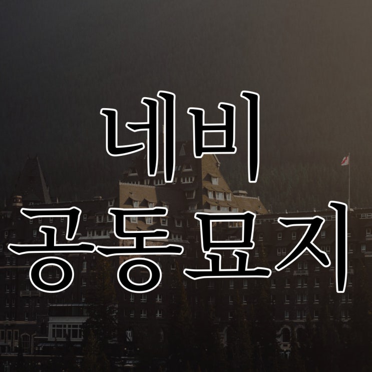  네비가 안내한 공동묘지 / 네이트판 레전드 무서운 썰
