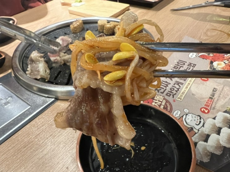  이차돌 플러스 의정부신시가지점 이용 후기 / 이차돌 플러스 차이점은?