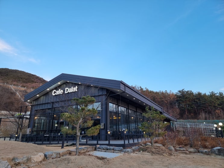  대구 카페] 봉무동 팔공산 베이커리 브런치 카페 '브런치 달랏'