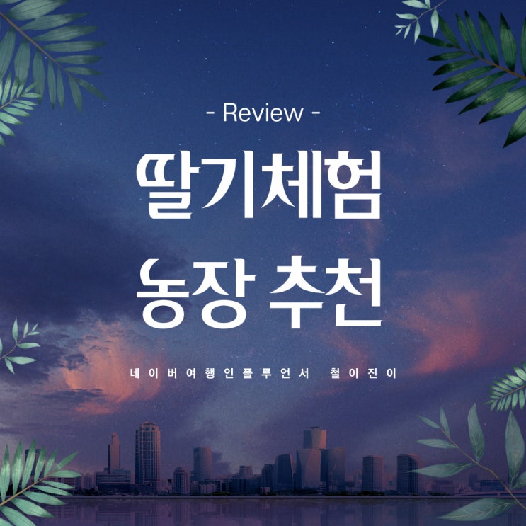 겨울방학 가볼만한곳 : 딸기체험 농장 후기