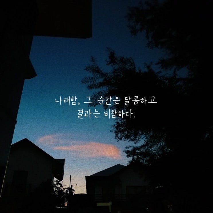  부거사이 [부동산 뉴스와 블로그] 1월 5일(수)