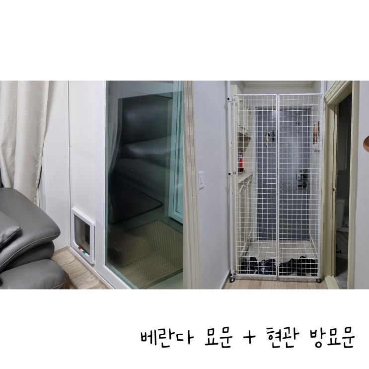  고양이 베란다 묘문 / 델라카사 타공 없는 현관 방묘문