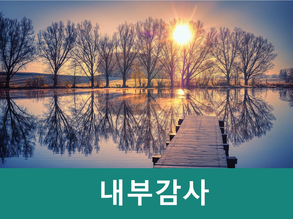  내부감사기준 및 내부통제