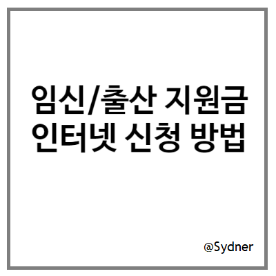 임신/출산 진료비 바우처 신청 임신/출산 진료비 바우처 신청