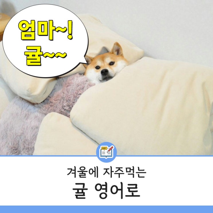  귤의 계절이 왔습니다! 귤 영어로 알아볼게요