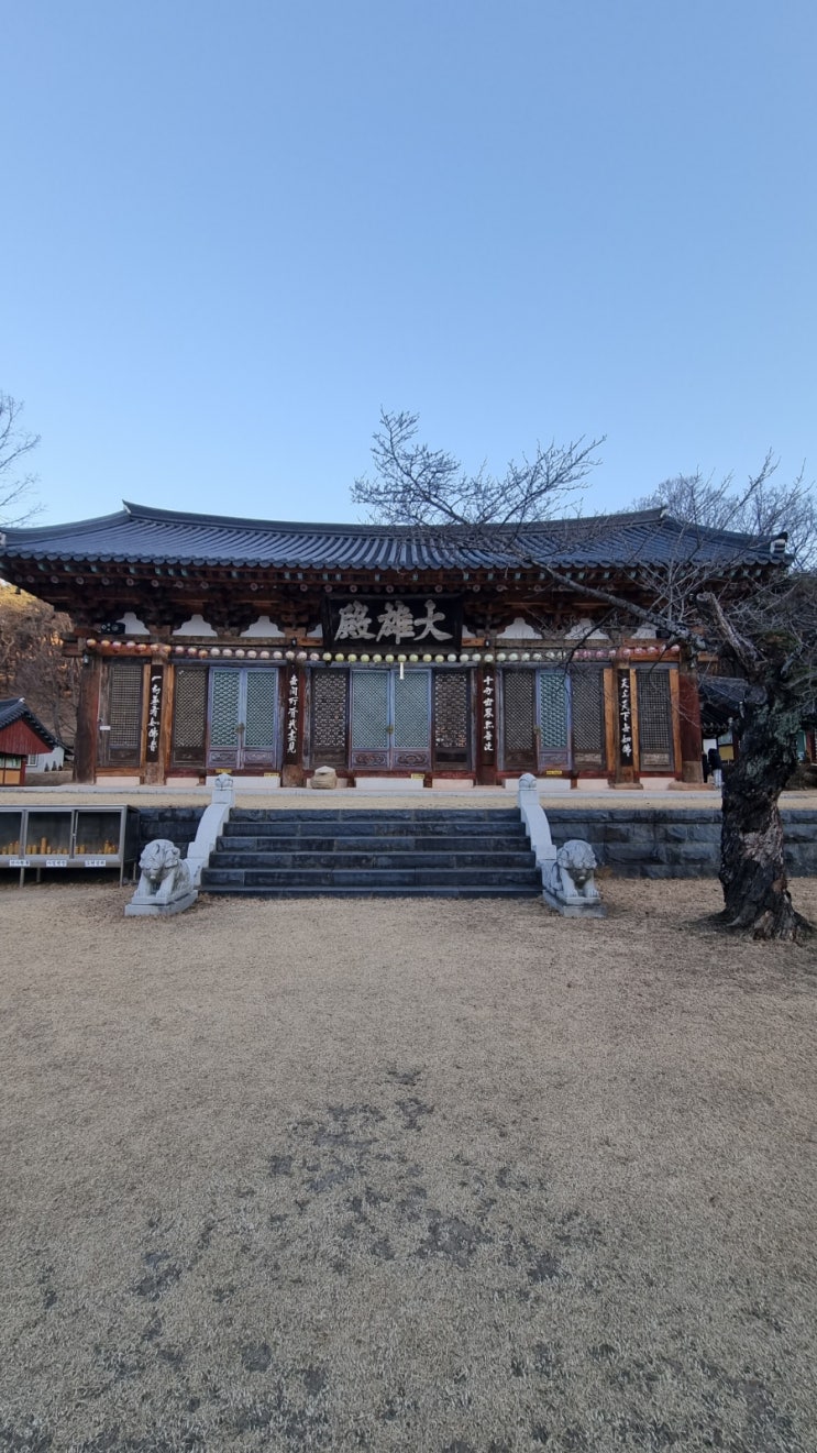  루틴같은 방문기 송림사