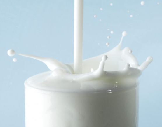  면역력 필수인 시대!! 간단한 섭취! 우유~ 칼로리 효능 구입요령 보관법 다이어트
