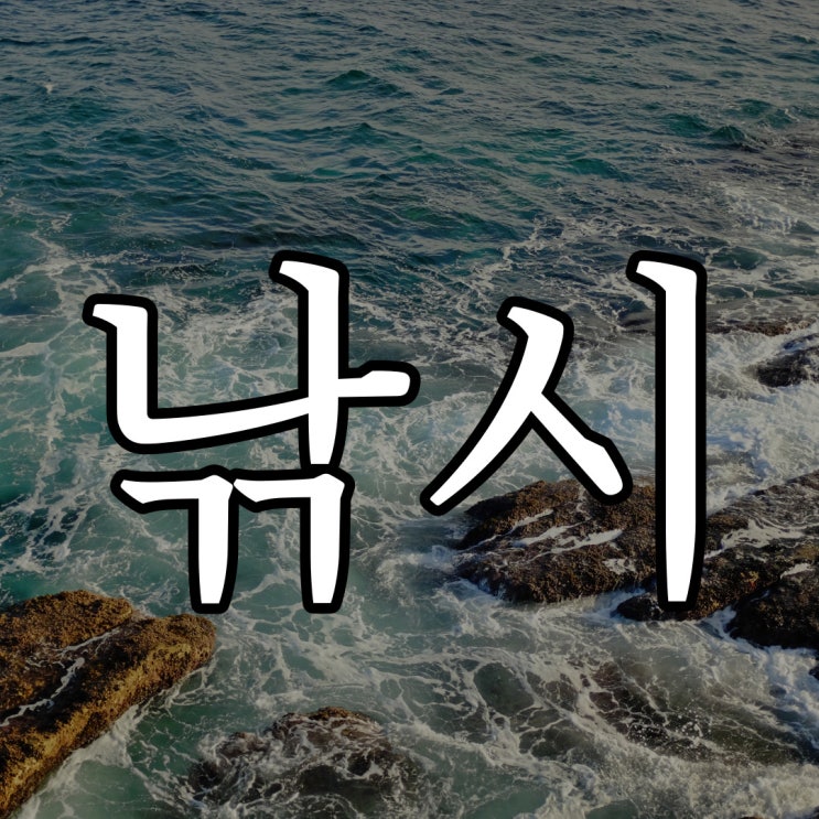  낚시 카페에 올라왔던 경험담 이야기 / 실화 무서운 이야기