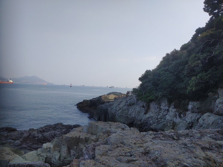 전라남도 여수여행 (여수의 대표적인 명소이며 여수1경 : 오동도) 전라남도 여수여행 (여수의 대표적인 명소이며 여수1경 : 오동도)