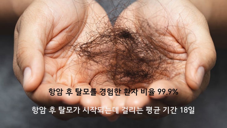  7. 항암 후 탈모 (언제 빠지고, 언제 다시 자라나요?)