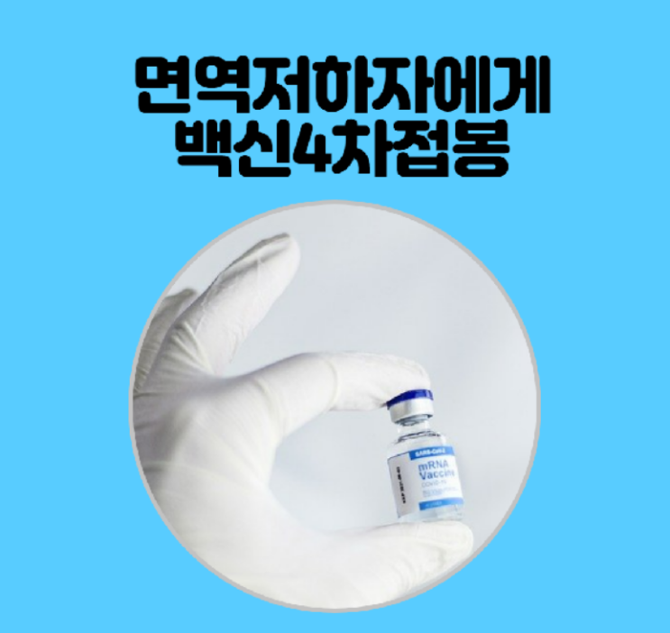  면역저하자에게백신4차접종이시작되네요