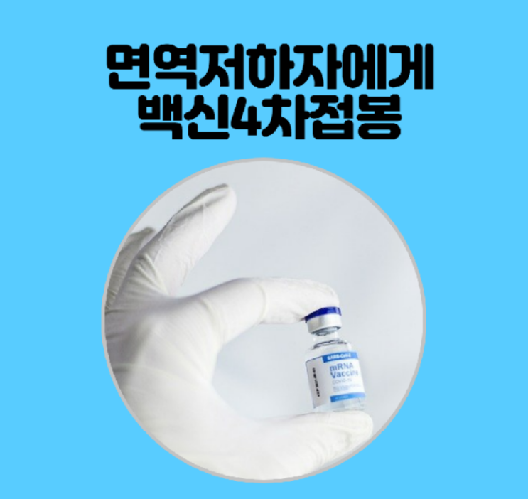 면역저하자에게백신4차접종이시작되네요