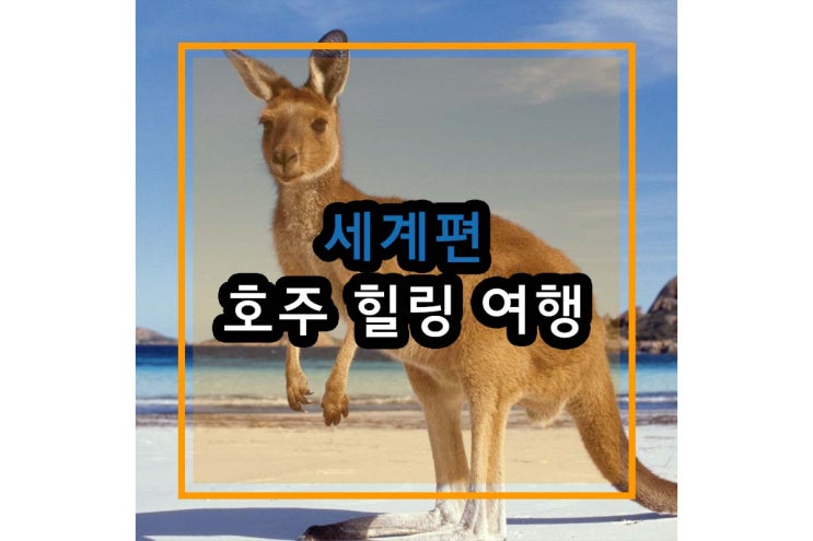  [호주여행] 특별한 힐링 그리고 아름다운 추억