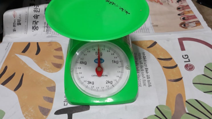 밀감 가격 5,000원 밀감 가격 5,000원
