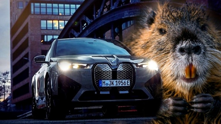  BMW iX M60, 강렬한 엣지의 뉴트리아?