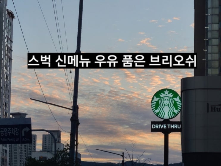  스타벅스 신메뉴 우유 품은 브리오쉬 솔직후기
