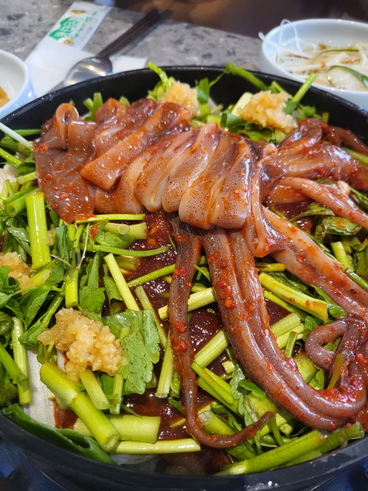  [서울 중구]신당동 새로생긴 오징어불고기 맛집 :: 반딧불오징어::