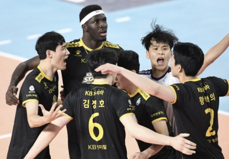 KOVO 프로배구 국내 남자배구 삼성화재 KB손해보험 여자배구 페퍼저축은행 도로공사