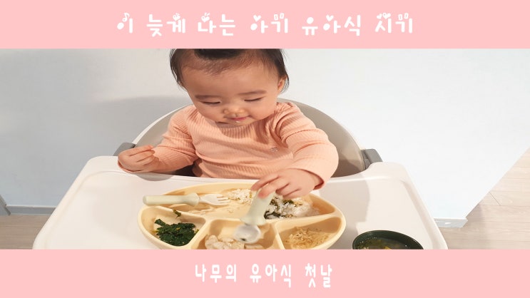 이 늦게 나는 아기 유아식 언제부터 할까요?