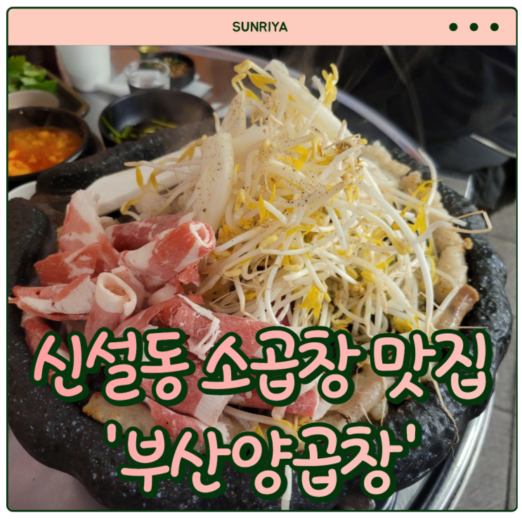 [신설동 맛집] 부산st 소양곱창 서울에서도 먹을수 있음 !!! 찐맛집'신설동 맛집 부산양곱창'