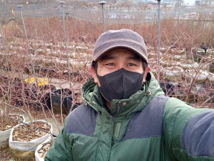  블루베리농장 별농 퇴근길 삼거리 접촉사고...