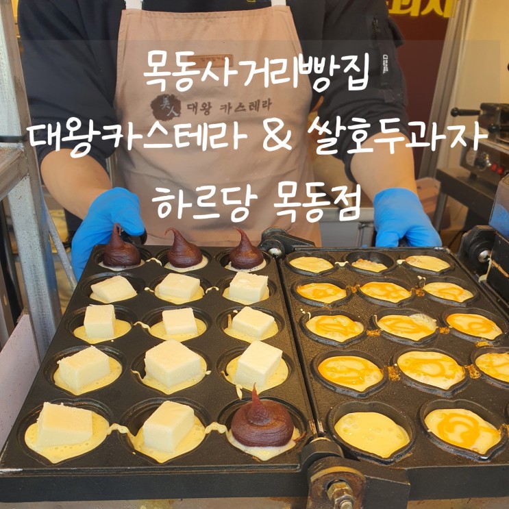 목동사거리빵집 [하르당 목동점] 생크림 카스테라 & 치즈 호두과자 맛있어요! :)