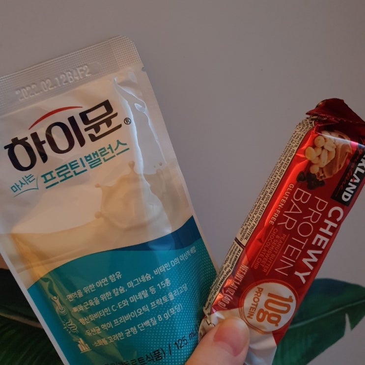  다이어트를 하려고 했는데..