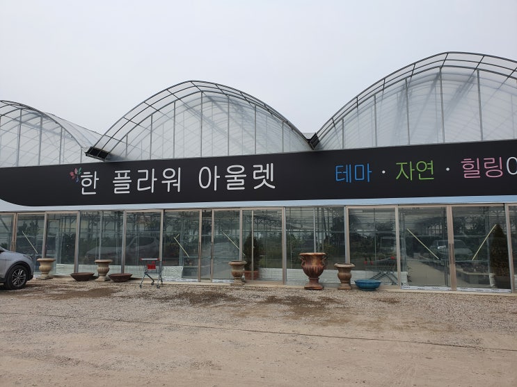  남사화훼단지 한플라워아울렛에서 다양한 식물 구경하고, 틸란 데려왔어요.