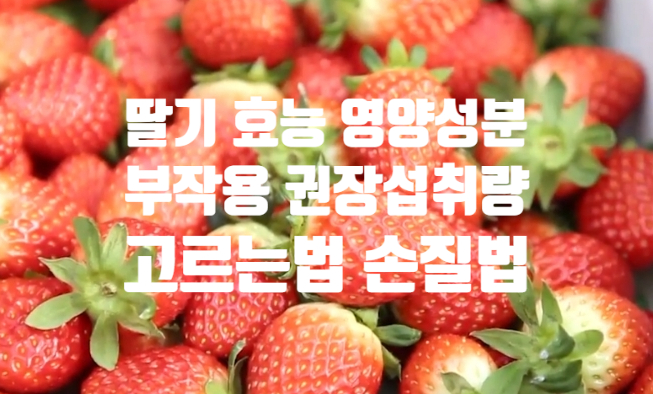  딸기 영양성분 효능 부작용(ft. 고르는 법 손질 세척 방법 활용 요리) 소금 식초 No~