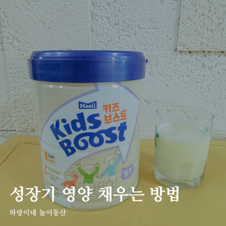  매일 키즈부스트 1잔 두돌 아기 성장기 영양 채우기