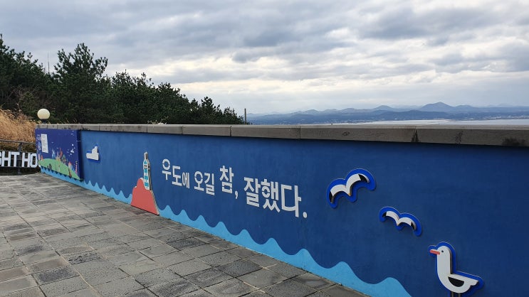  [제주도, 우도] 화이트 크리스마스의 눈발 날리는 고난의 여행기 #4일차