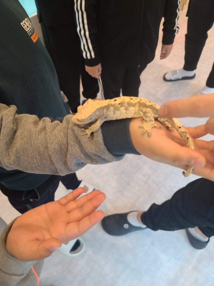  대전아이랑갈만한곳 동물교감카페 마리앤쥬 다녀왔어요