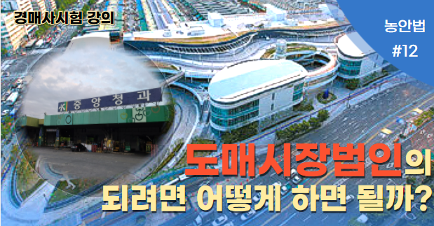  [경매사필수과목 -농안법 #12] 도매시장법인에 관한 내용에 대해서 알아봅시다!