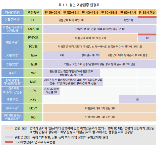  성인 예방접종에 관하여; 예방접종은 강북내일내과에서