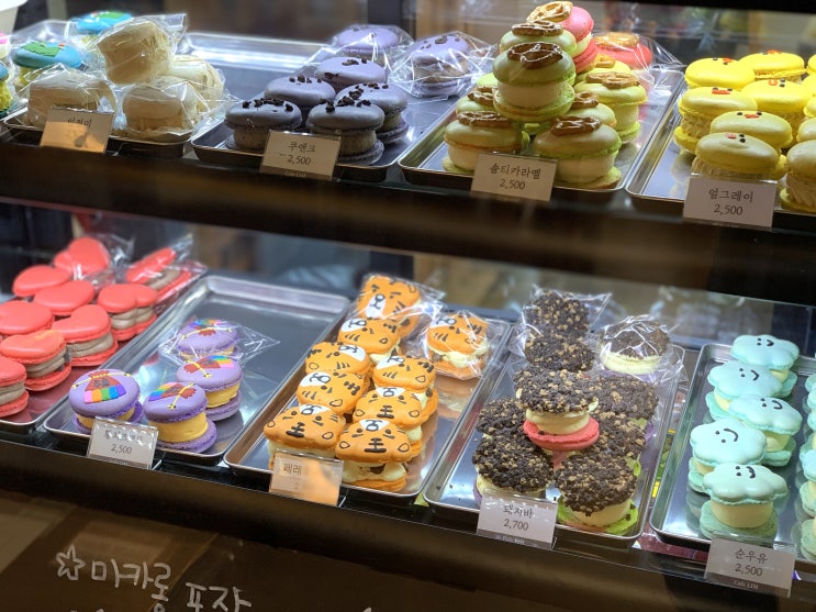  동대문 디저트 카페림, 고양이도 보러
