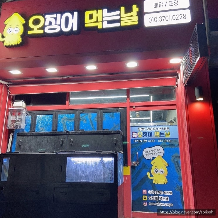  마산 중리내서 싱싱한 오징어회[오징어먹는날]