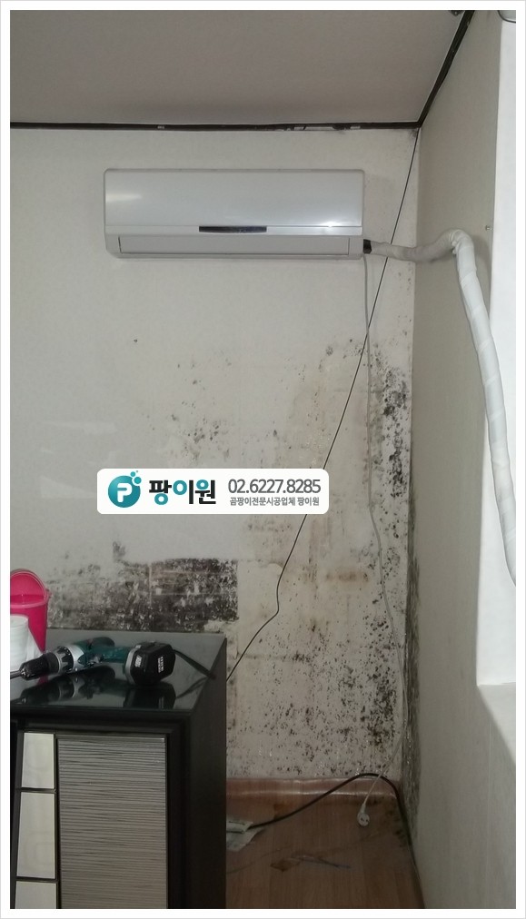 벽지 곰팡이제거 할때 가구 살균까지~