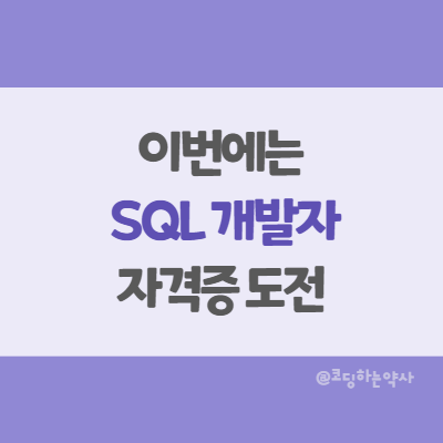 이번에는 SQLD  도전합니다
