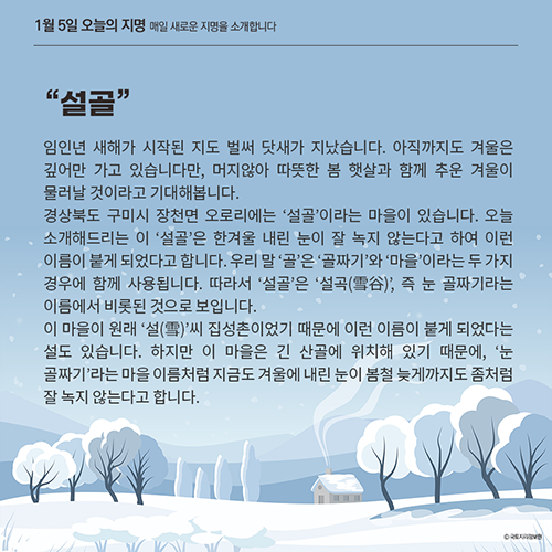 설골 사진 1